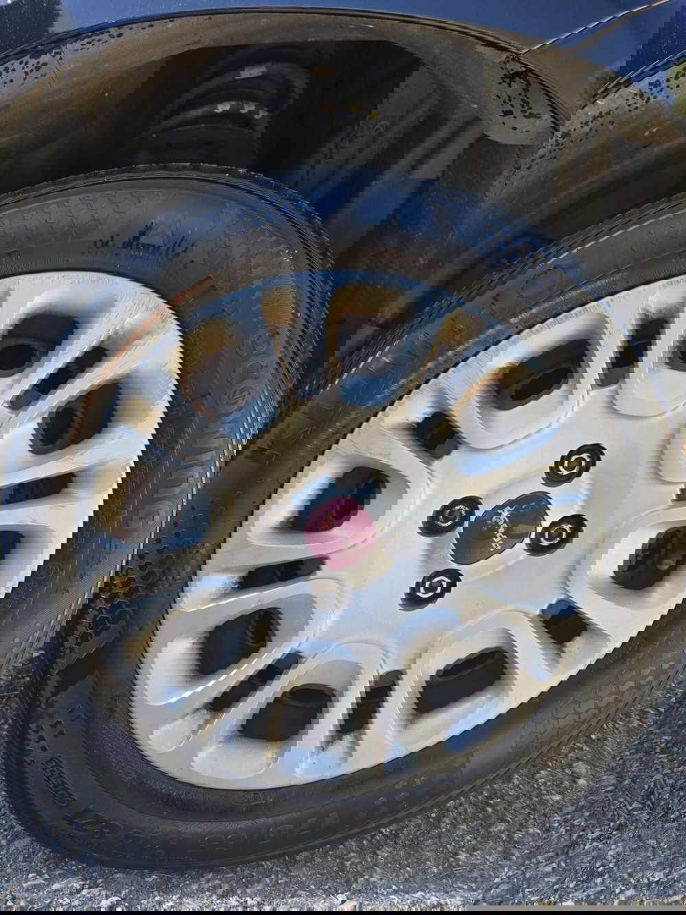 Fiat Panda usata a Massa-Carrara (9)