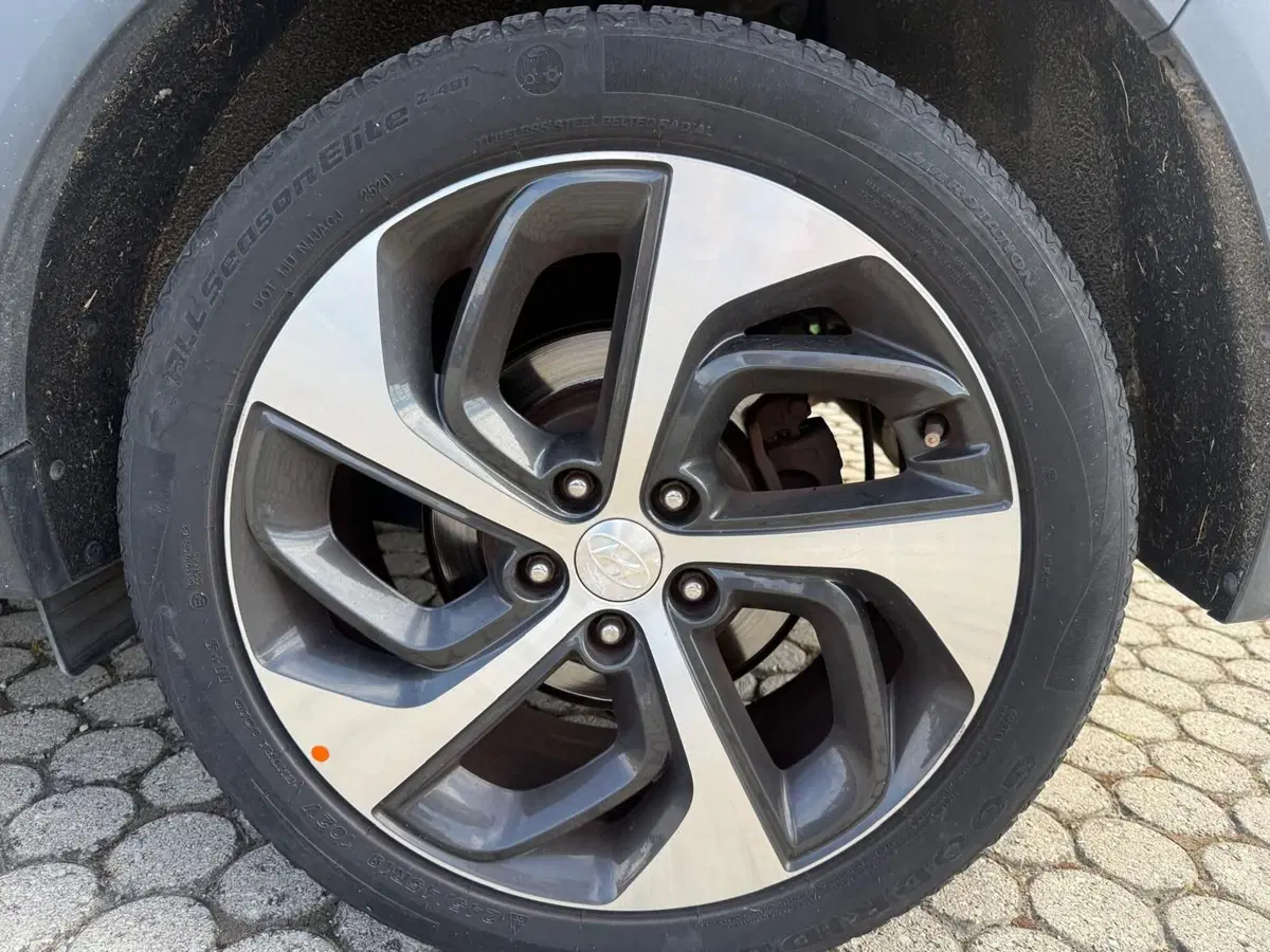 Hyundai Tucson usata a Massa-Carrara (4)