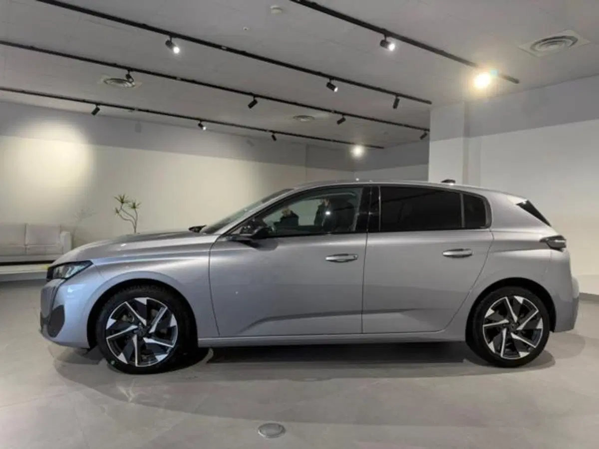 Peugeot 308 usata a Salerno (7)