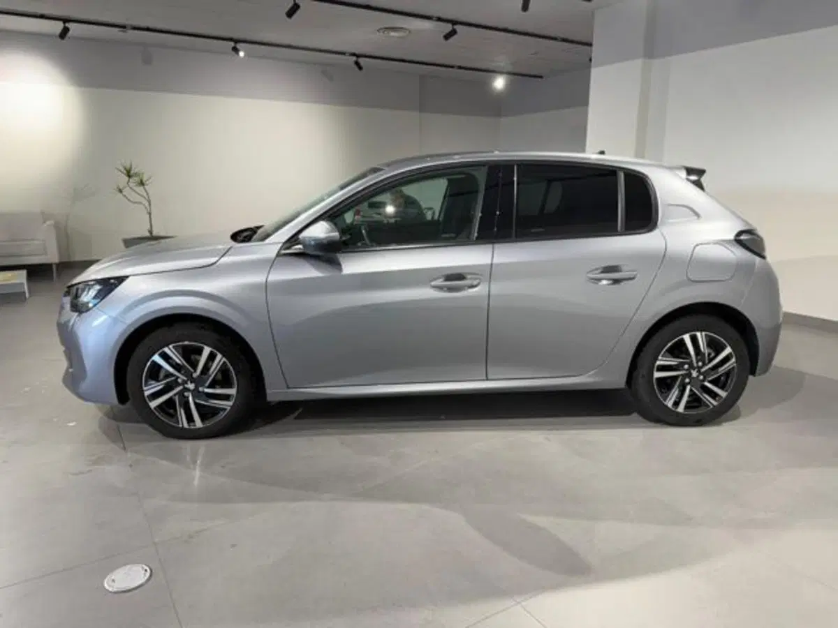 Peugeot 208 usata a Salerno (7)