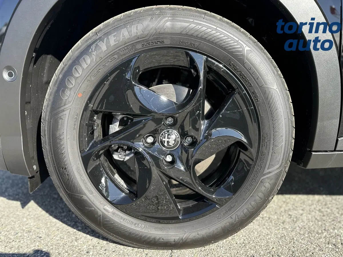 Alfa Romeo Junior nuova a Cuneo (9)