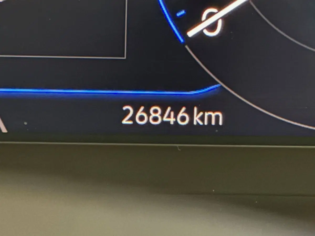Volkswagen T-Roc Cabrio usata a Genova (17)