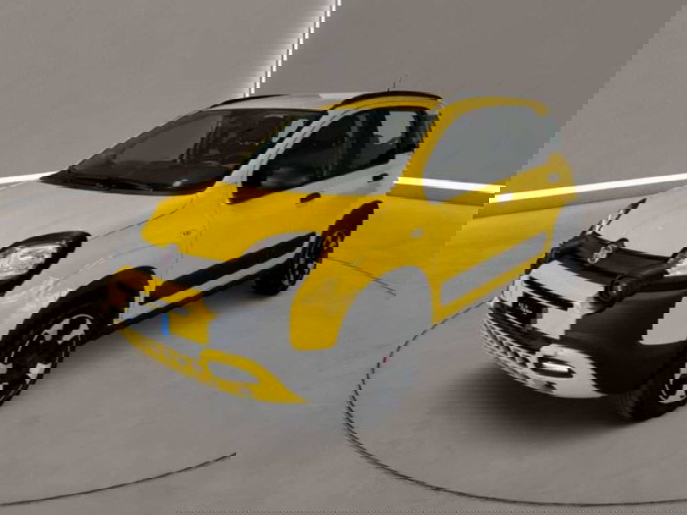 Fiat Panda Cross usata a Caltanissetta