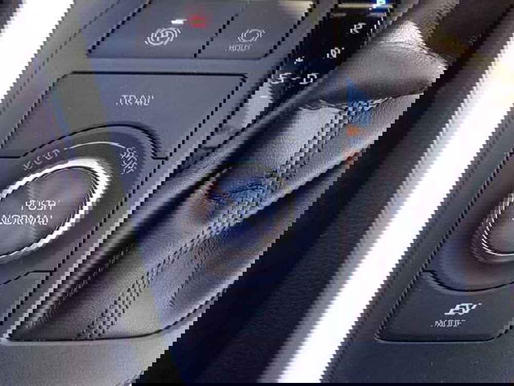 Toyota Rav4 usata a Treviso (20)