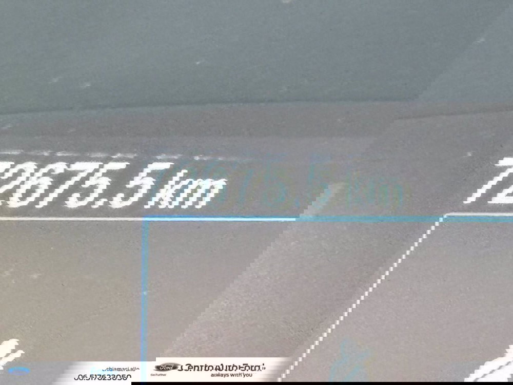 Ford EcoSport usata a Roma (20)