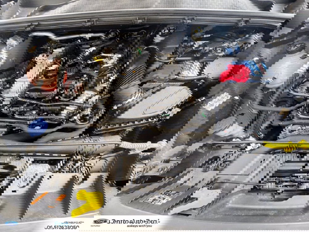 Ford Puma usata a Roma (12)