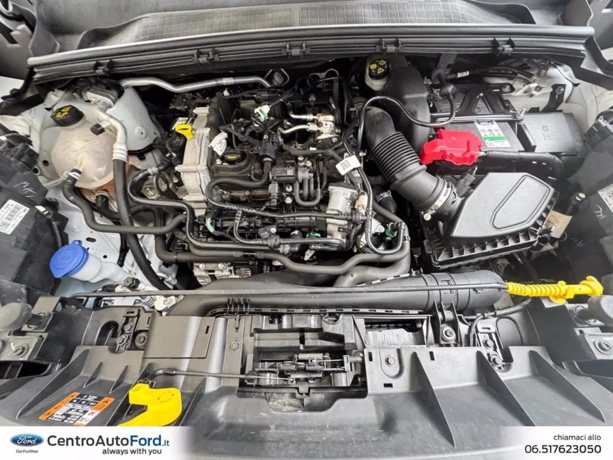 Ford Puma usata a Roma (12)