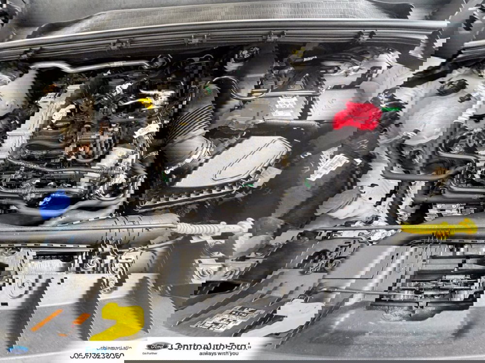 Ford Puma usata a Roma (12)