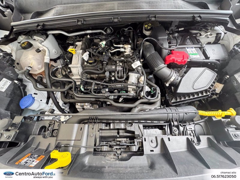 Ford Puma usata a Roma (12)