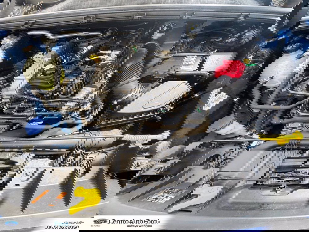 Ford Puma usata a Roma (12)