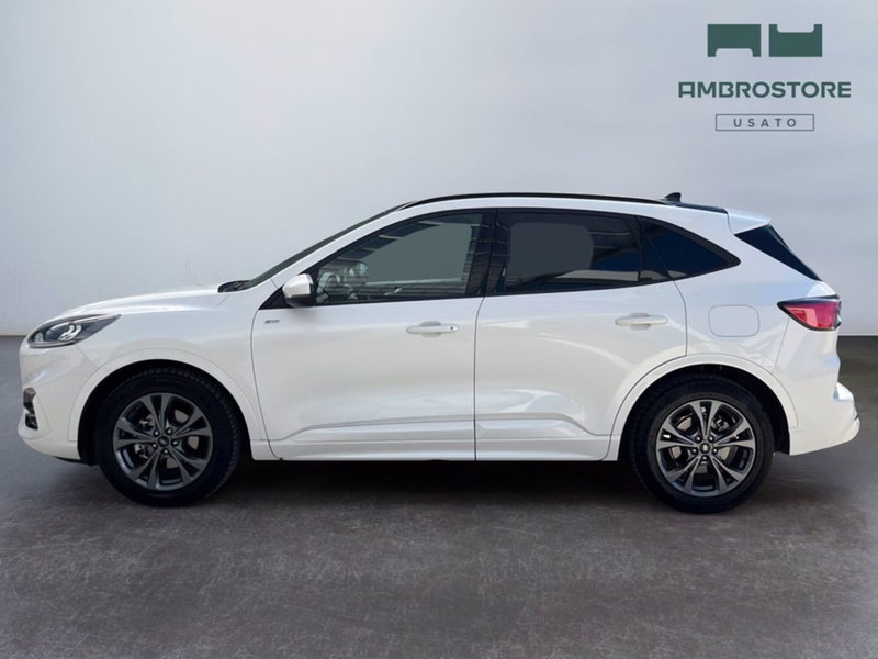 Ford Kuga usata a Milano (2)