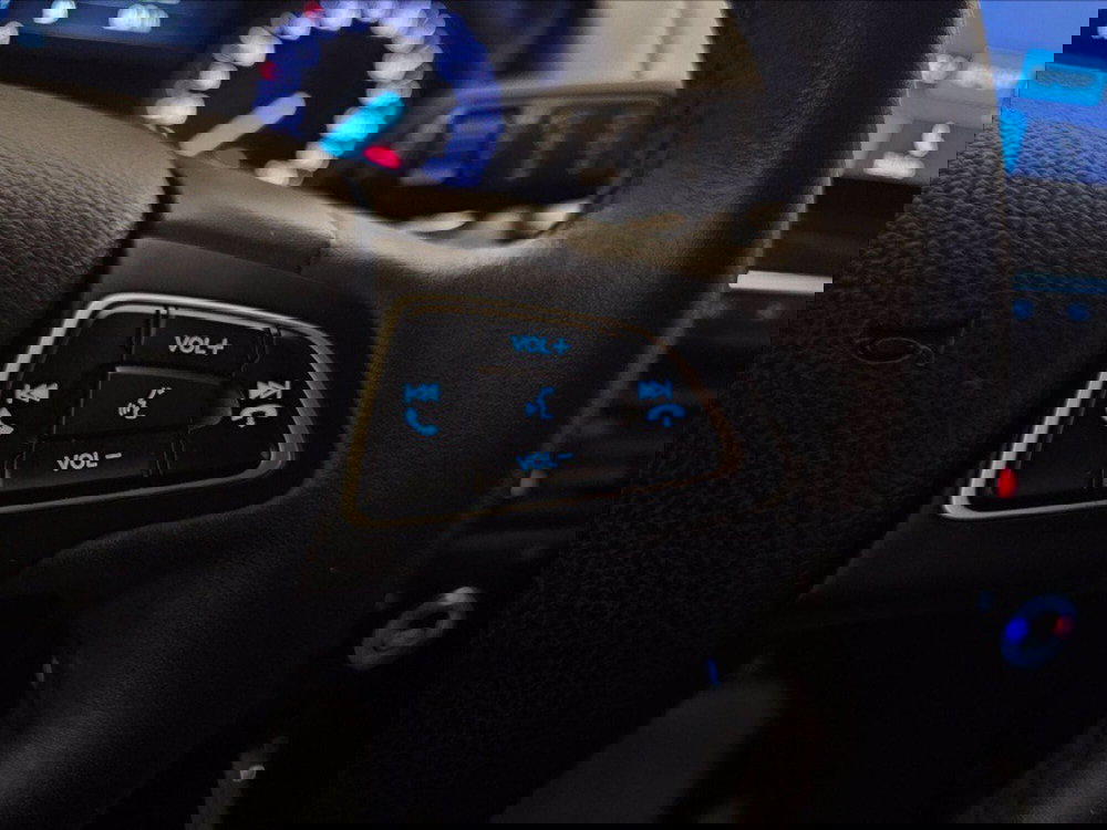 Ford EcoSport usata a Palermo (15)
