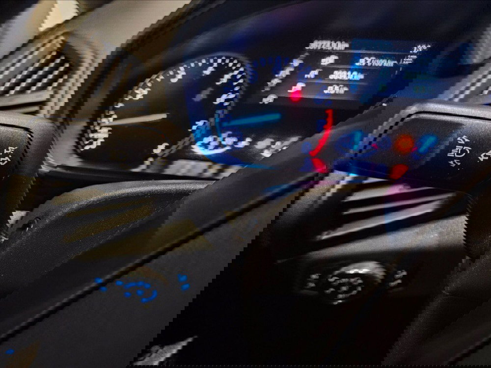 Ford EcoSport usata a Palermo (16)