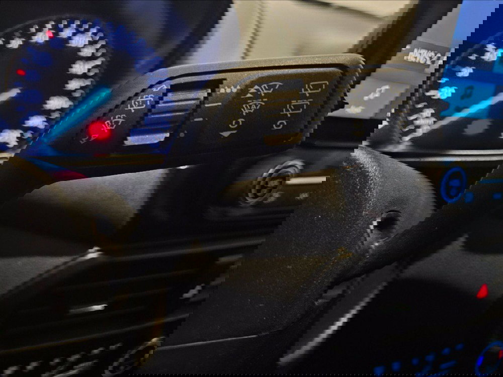 Ford EcoSport usata a Palermo (17)