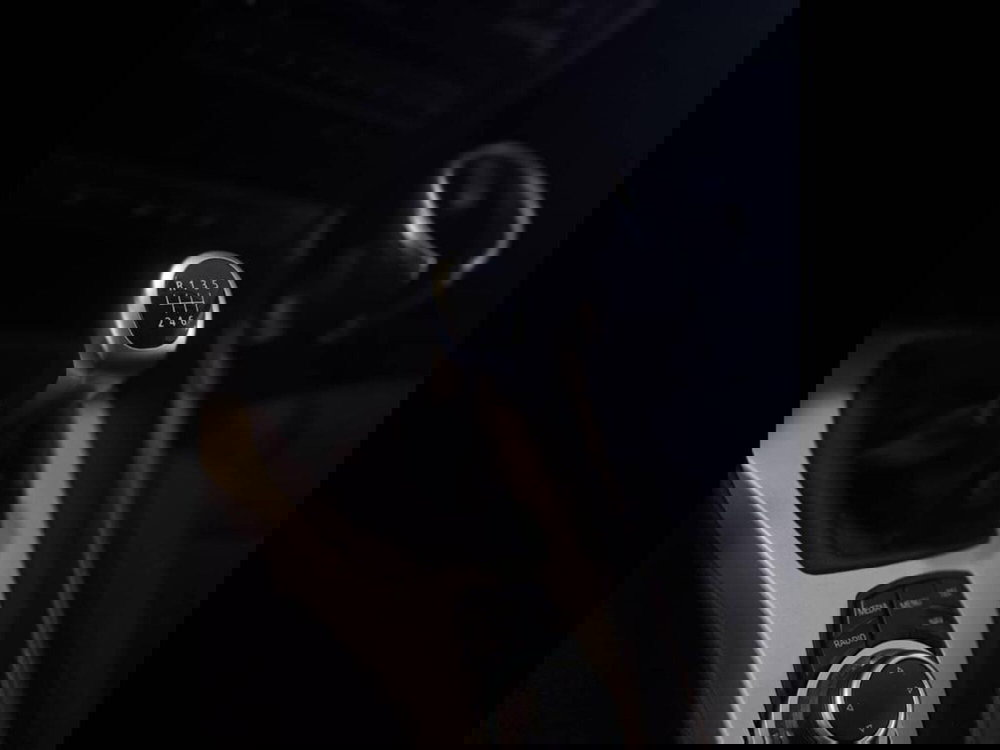 BMW X1 usata a Torino (10)