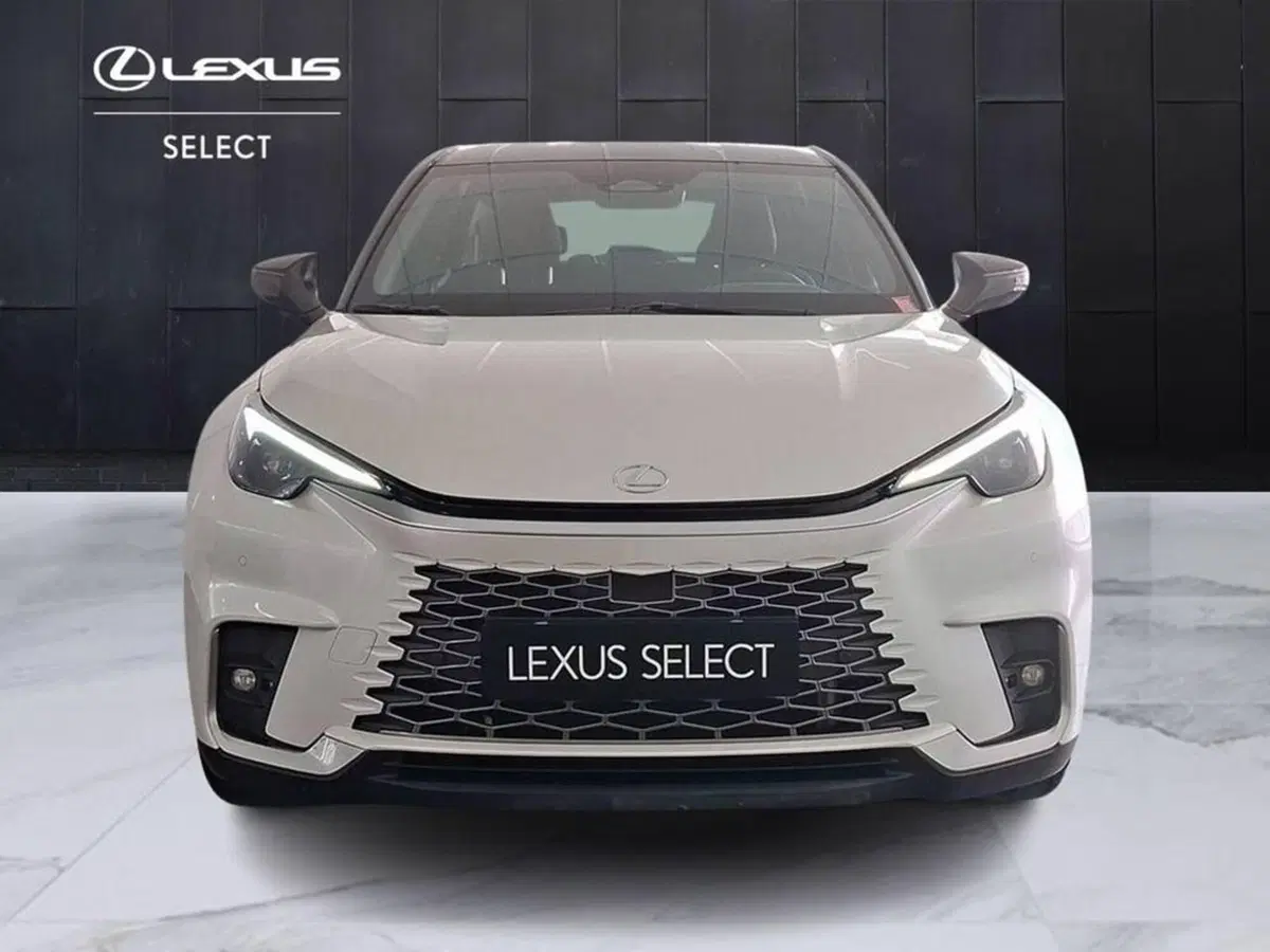 Lexus LBX usata a Torino (3)