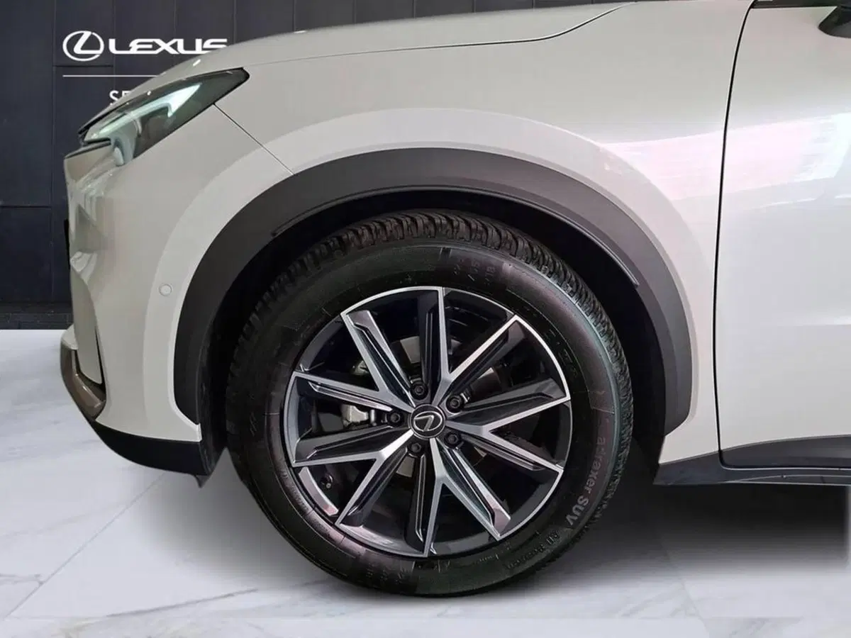 Lexus LBX usata a Torino (6)