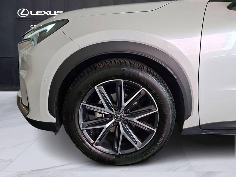 Lexus LBX usata a Torino (6)