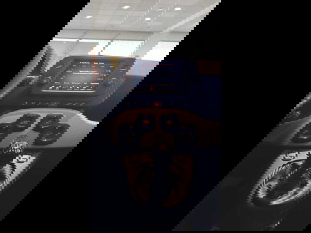 Fiat Panda Cross usata a Caltanissetta (13)