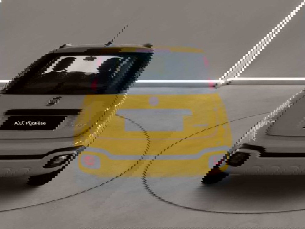 Fiat Panda Cross usata a Caltanissetta (3)