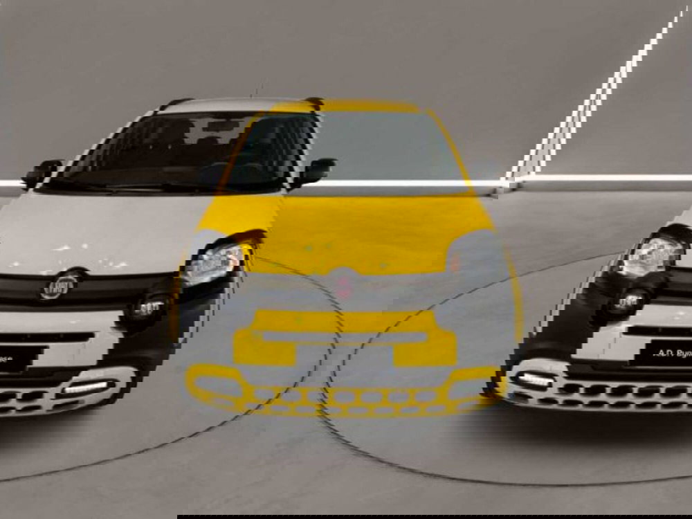 Fiat Panda Cross usata a Caltanissetta (7)