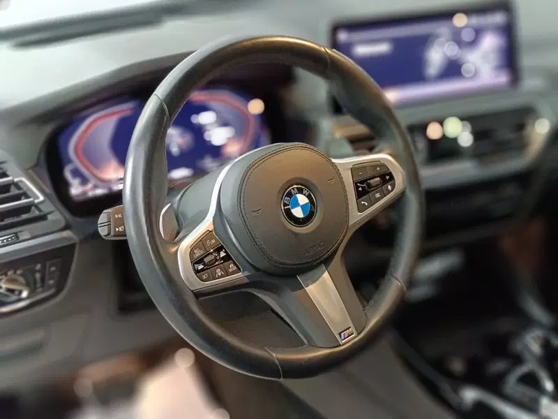 BMW X4 usata a Ascoli Piceno (16)
