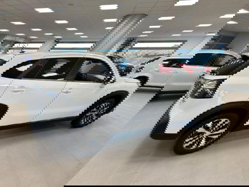 Suzuki S-Cross usata a Campobasso (13)