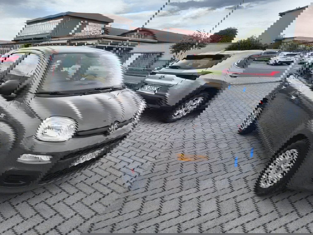 Fiat Panda Cross usata a Firenze (3)