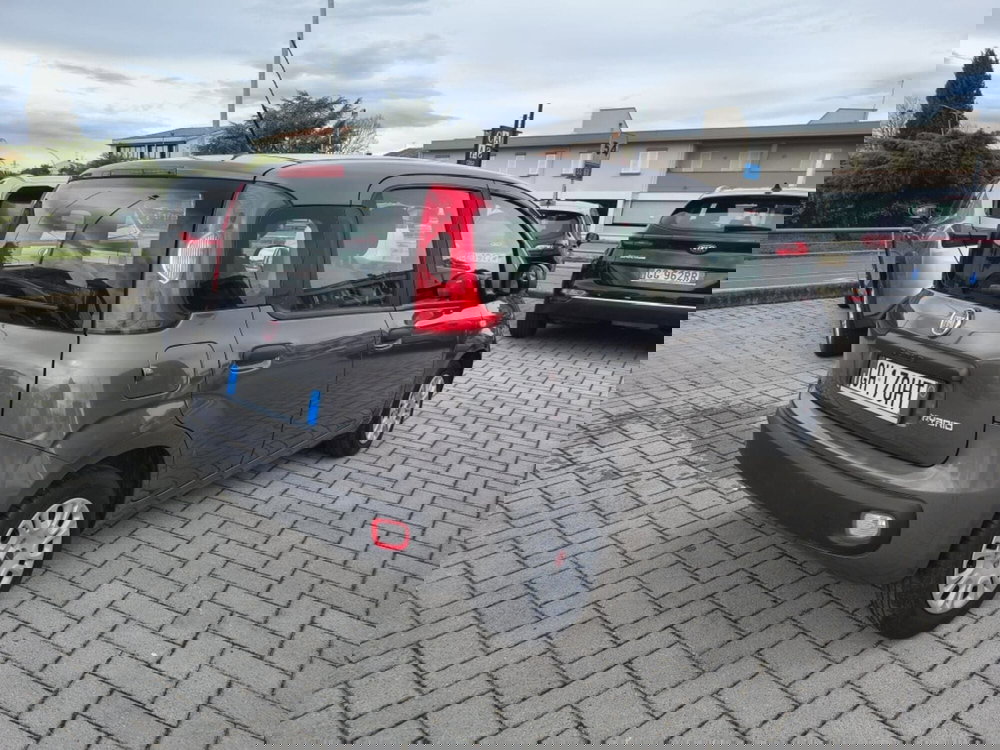 Fiat Panda Cross usata a Firenze (4)