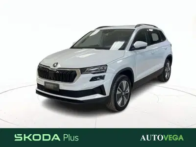 Skoda Karoq 2.0 TDI EVO SCR 115 CV DSG Executive del 2023 usata a Arzignano