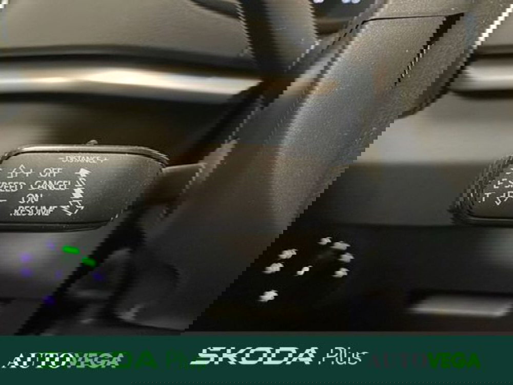 Skoda Karoq usata a Vicenza (16)