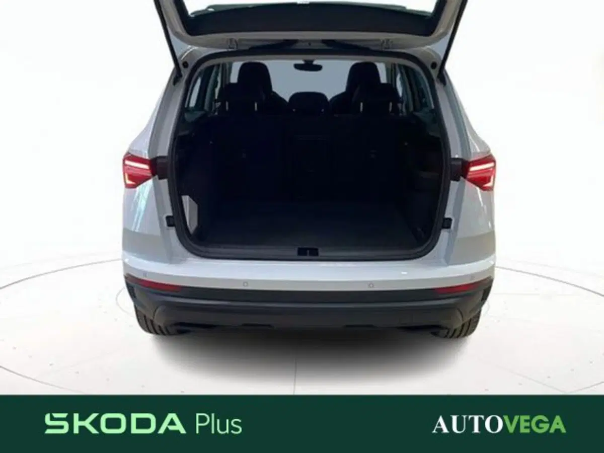 Skoda Karoq usata a Vicenza (19)