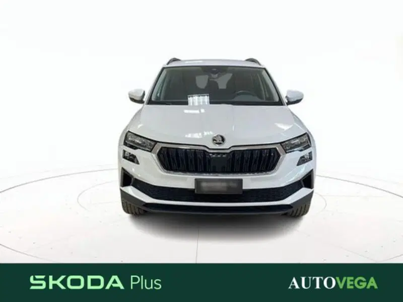 Skoda Karoq usata a Vicenza (2)