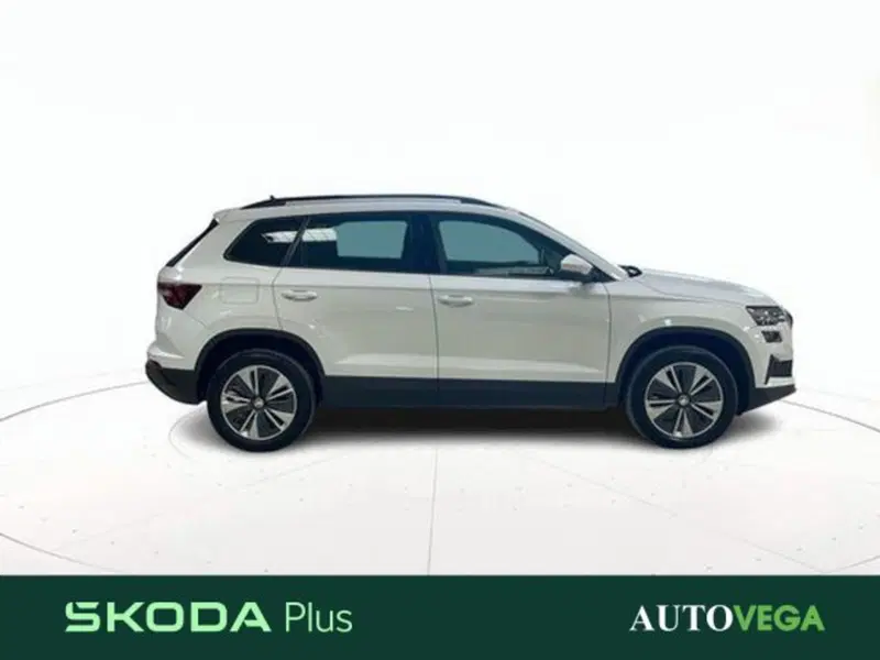 Skoda Karoq usata a Vicenza (3)