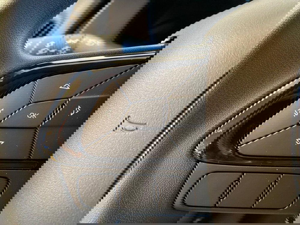 Fiat Panda Cross nuova a Torino (12)