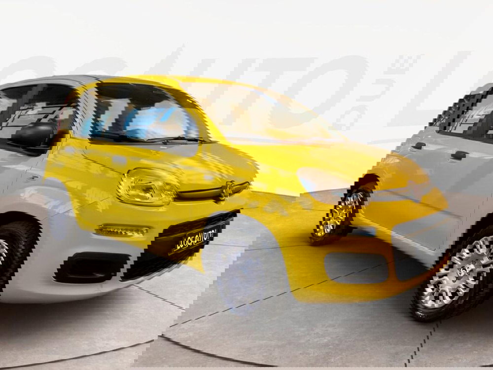 Fiat Panda Cross nuova a Torino (3)