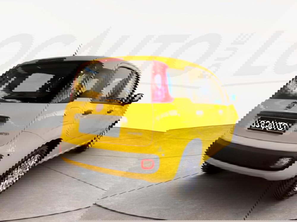 Fiat Panda Cross nuova a Torino (4)