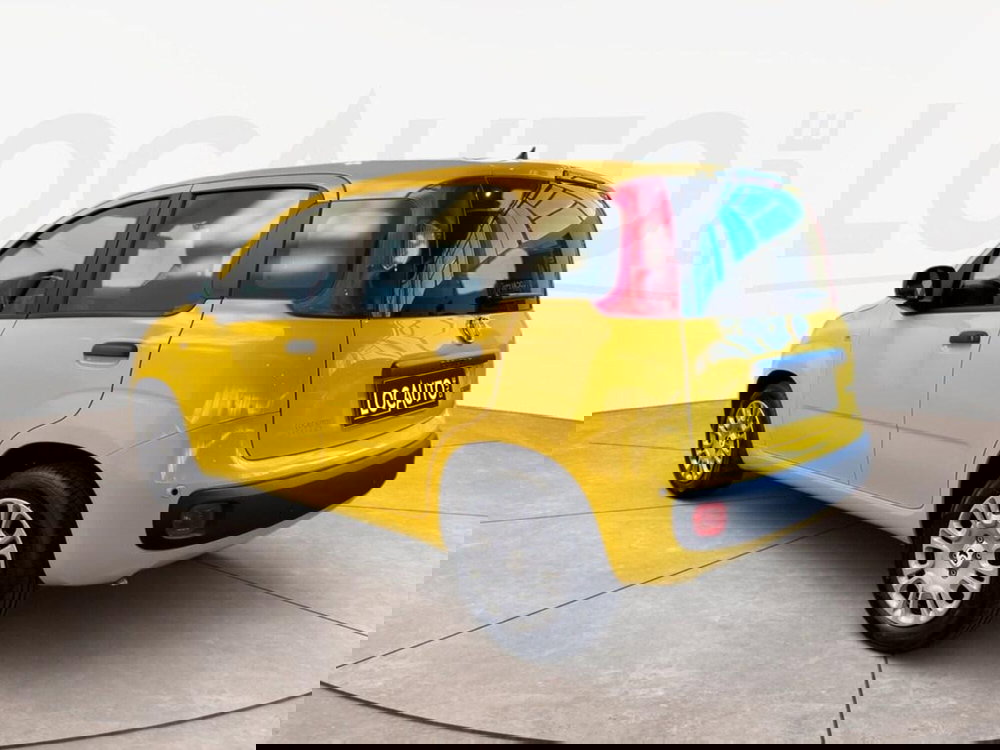 Fiat Panda Cross nuova a Torino (5)