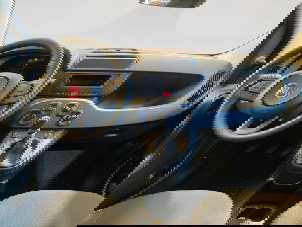 Fiat Panda Cross nuova a Torino (6)