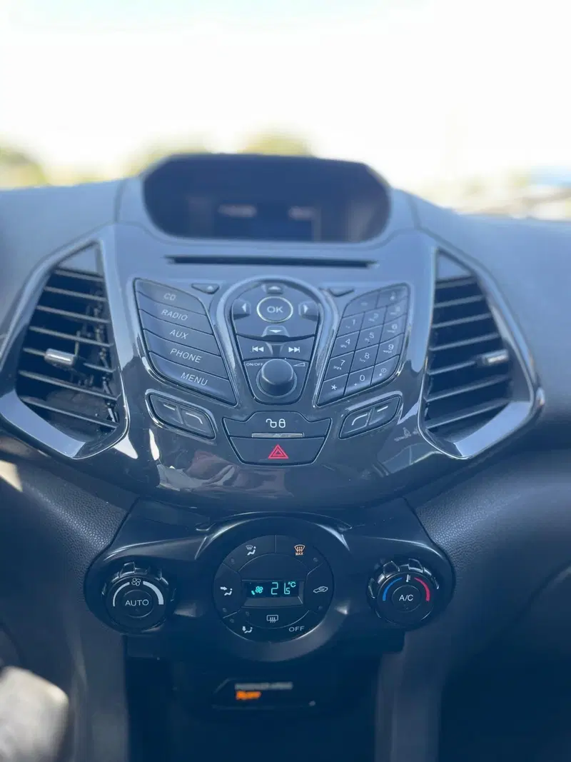 Ford EcoSport usata a Sassari (13)