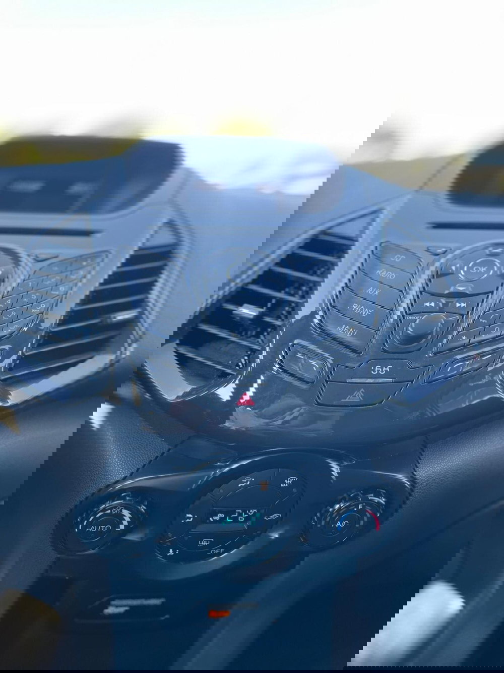 Ford EcoSport usata a Sassari (13)