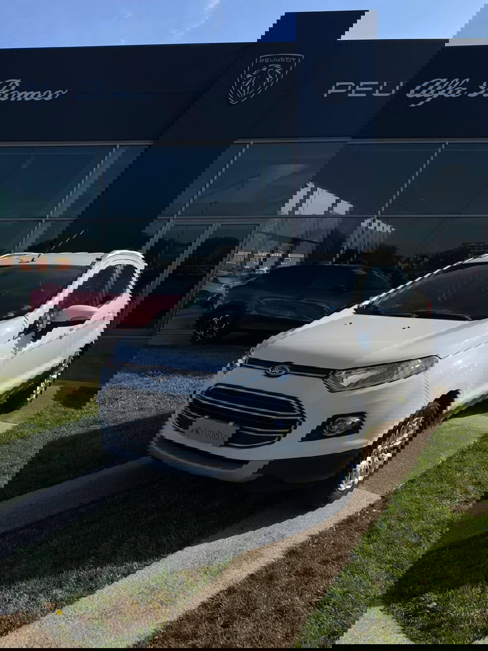 Ford EcoSport usata a Sassari (3)