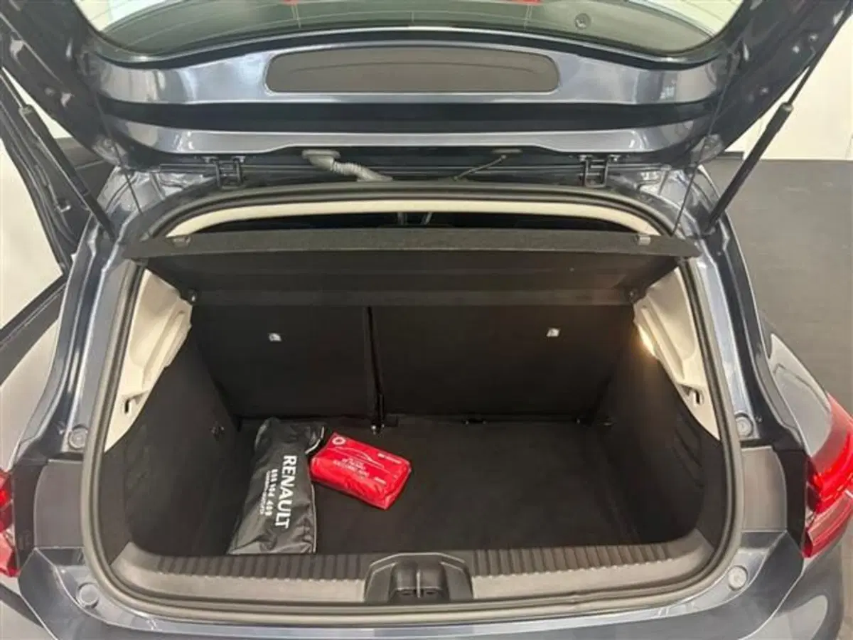 Renault Clio usata a Siena (19)