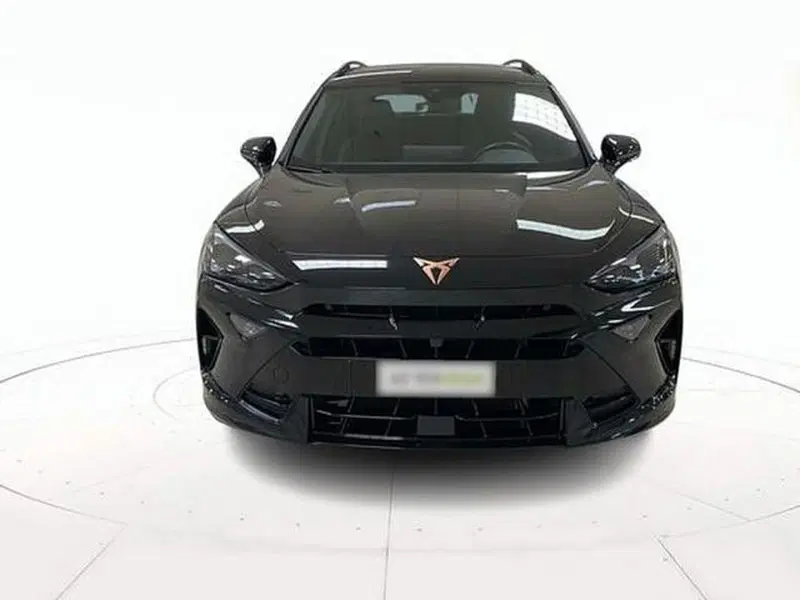Cupra Formentor usata a Vicenza (2)
