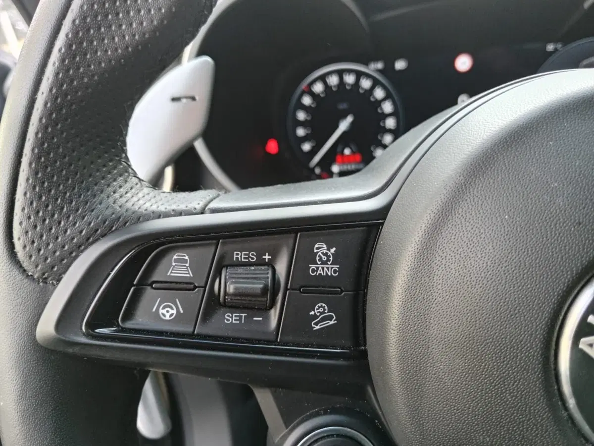 Alfa Romeo Stelvio usata a Alessandria (16)