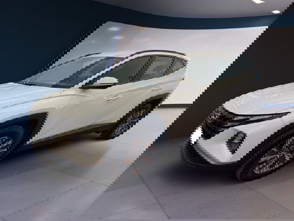 Hyundai Tucson usata a Torino (3)