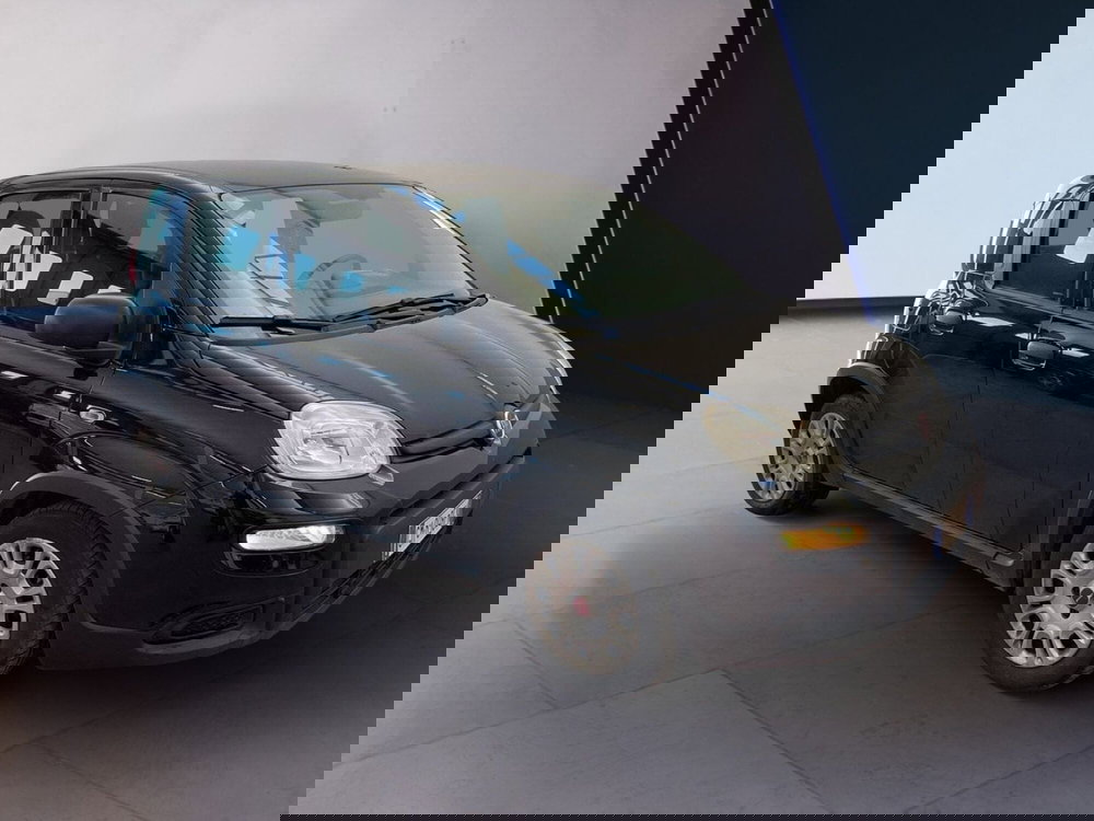 Fiat Panda usata a Torino (2)