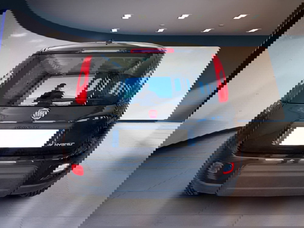 Fiat Panda usata a Torino (5)