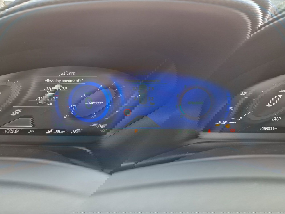 Ford Puma usata  (14)