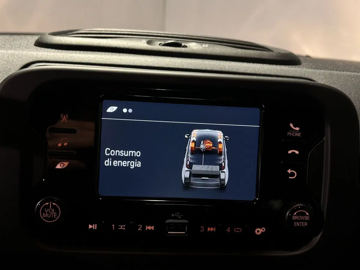 Fiat Panda Cross usata a Milano (12)